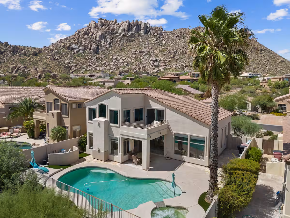 Desert Willow